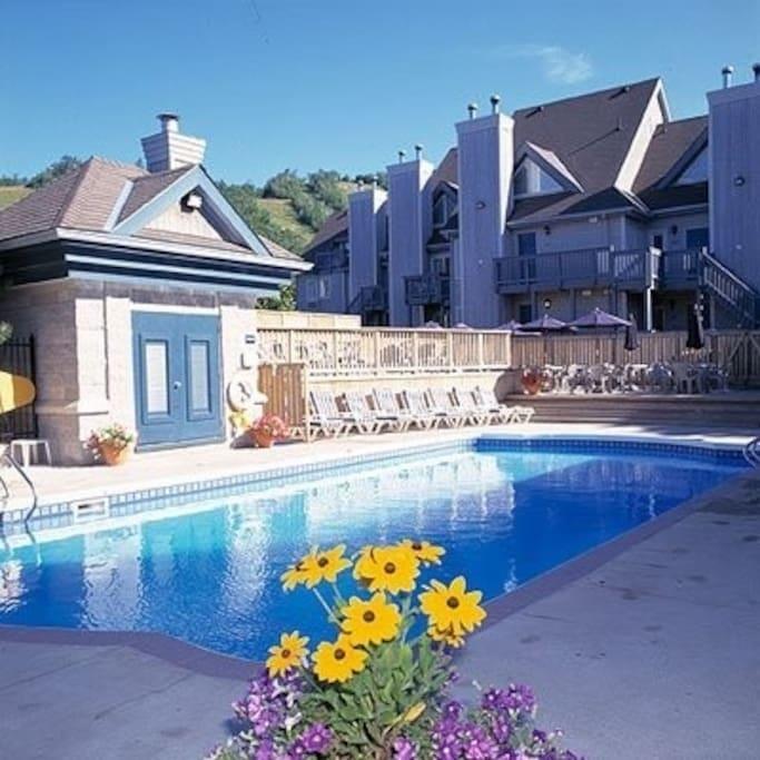 Blue Mountain Suites Blue Mountains Buitenkant foto