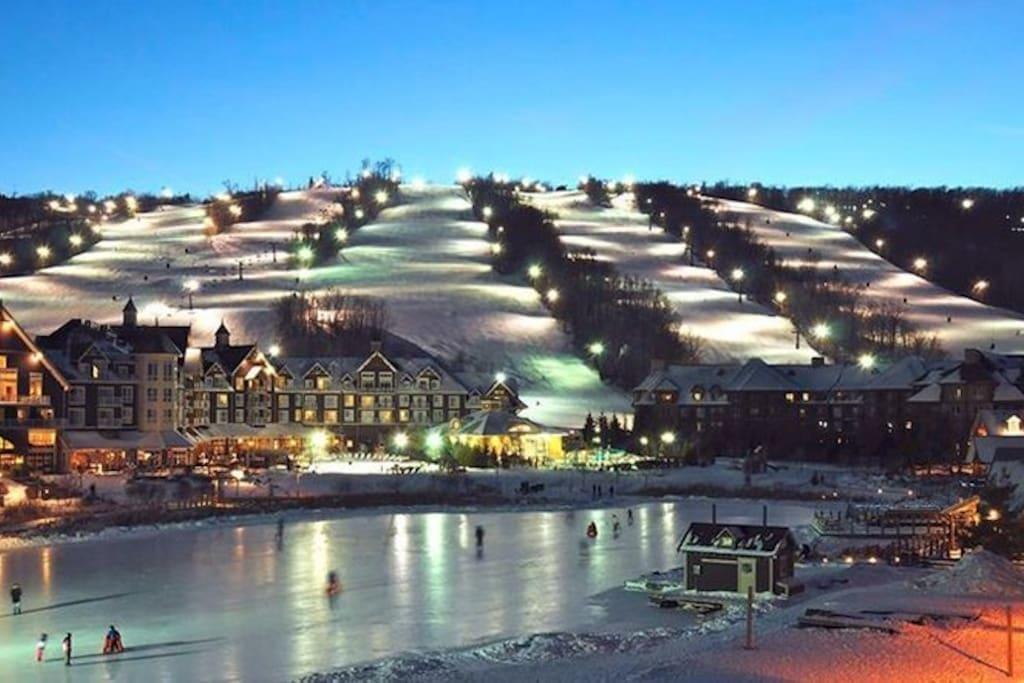 Blue Mountain Suites Blue Mountains Buitenkant foto