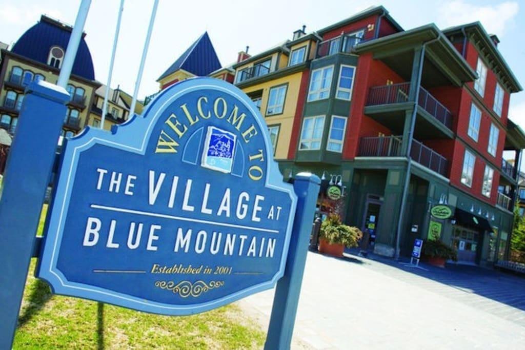 Blue Mountain Suites Blue Mountains Buitenkant foto