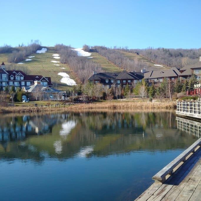 Blue Mountain Suites Blue Mountains Buitenkant foto
